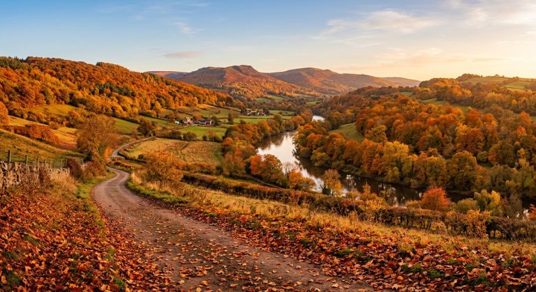 Summer to Autumn Season Photo Editing AI Prompt example